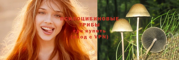 apvp Алексеевка