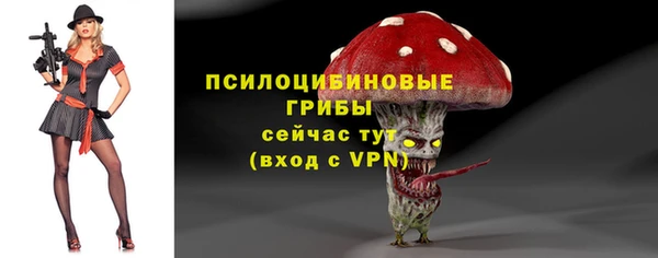дживик Алексин