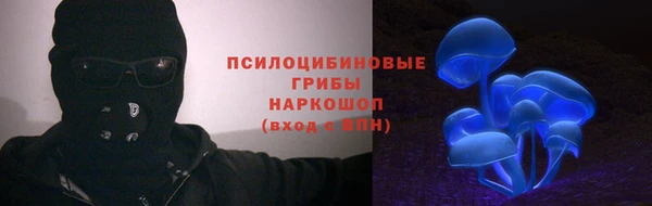 apvp Алексеевка