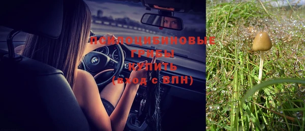 apvp Алексеевка