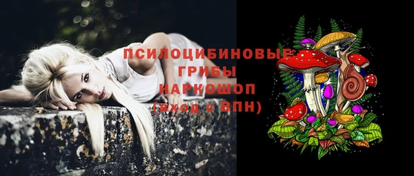 дживик Алексин