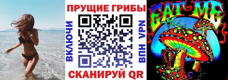 Галлюциногенные грибы Psilocybine cubensis  хочу   Заозёрный 