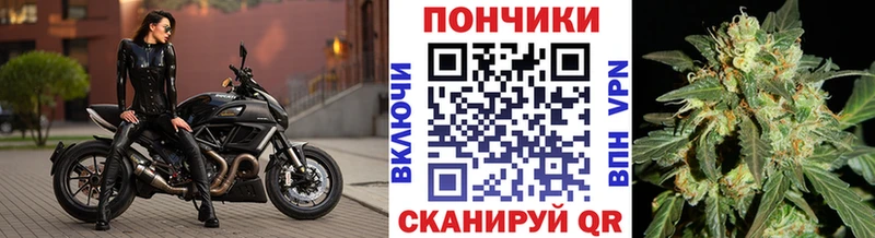 Бошки Шишки сатива  Заозёрный 